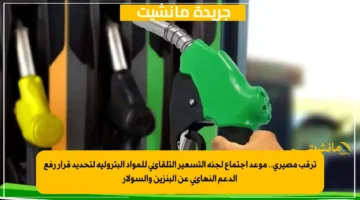 ترقب مصيري.. موعد اجتماع لجنة التسعير التلقائي للمواد البترولية لتحديد قرار رفع الدعم النهائي عن البنزين والسولار